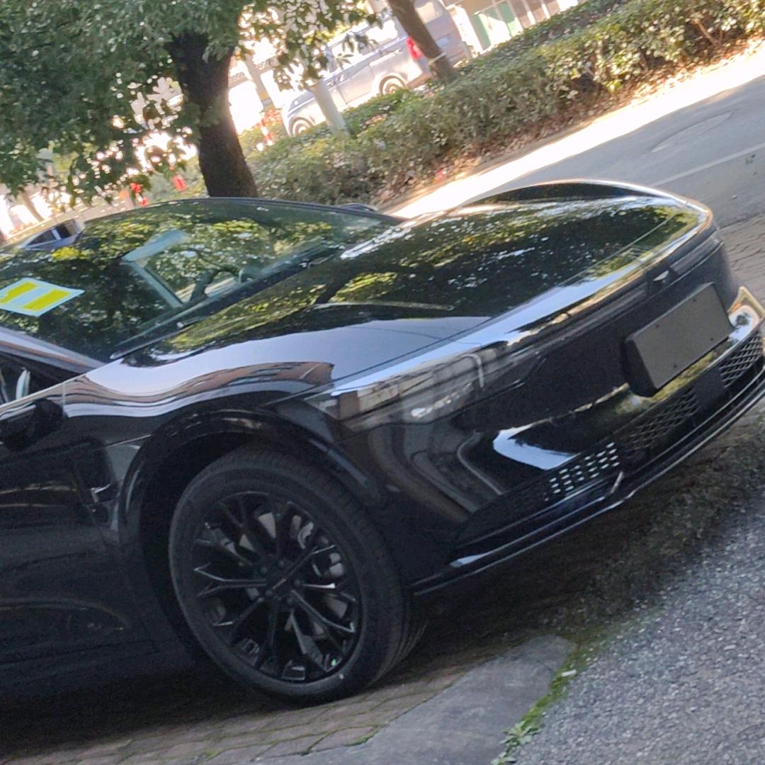 @白塔寺的🌈木梅花♧