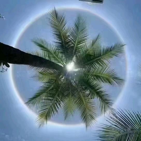 海南夕阳环保科技