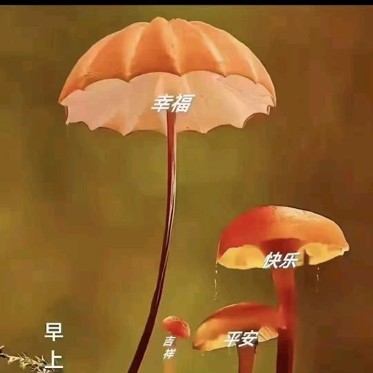 钱好