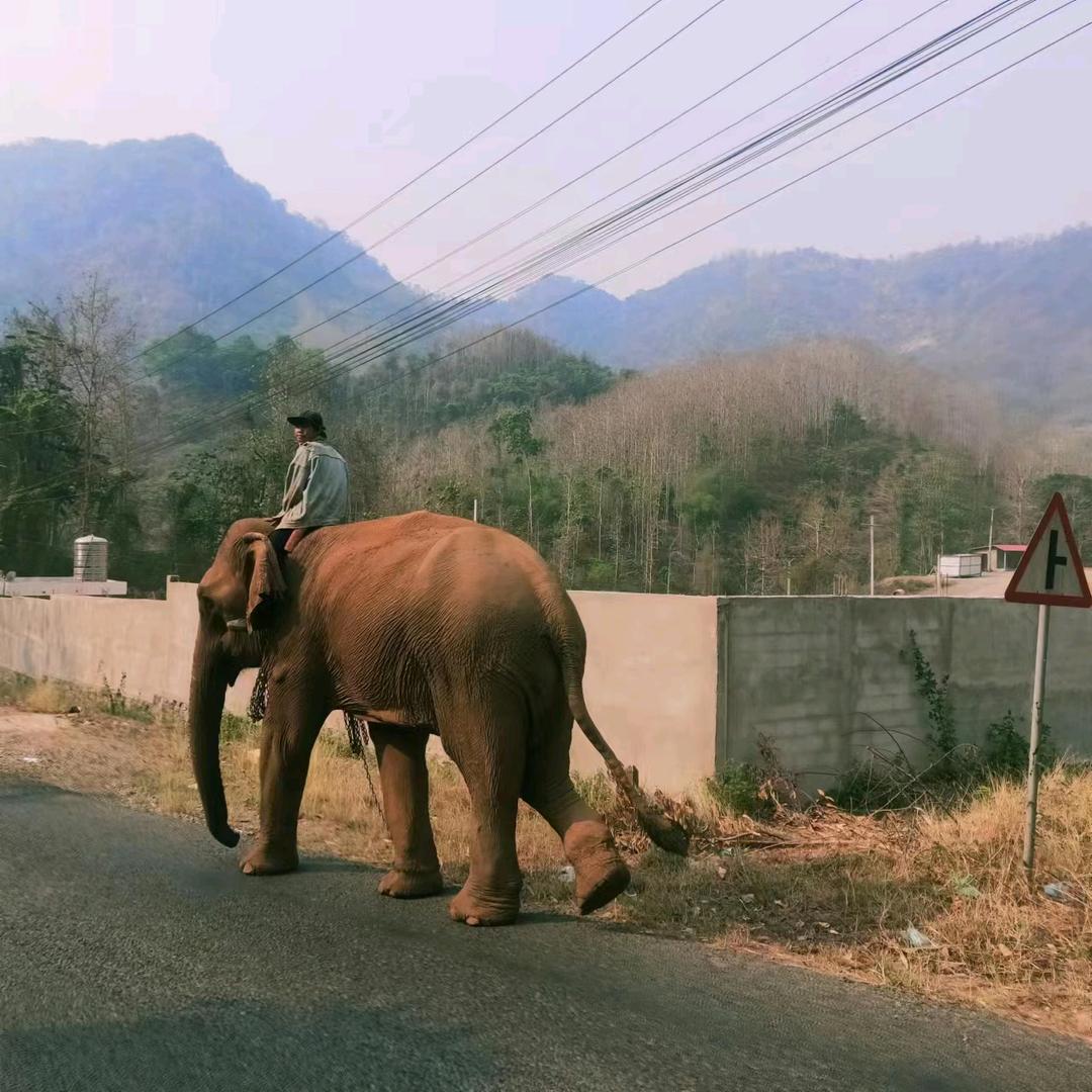 魔王哥（宁静致远）