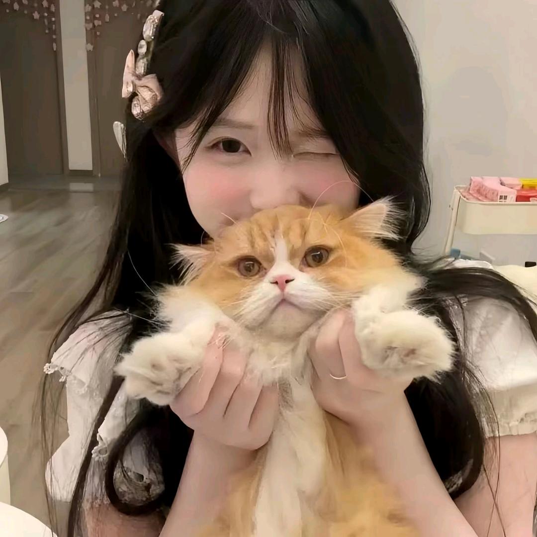 小魚冻干ₒᵒ