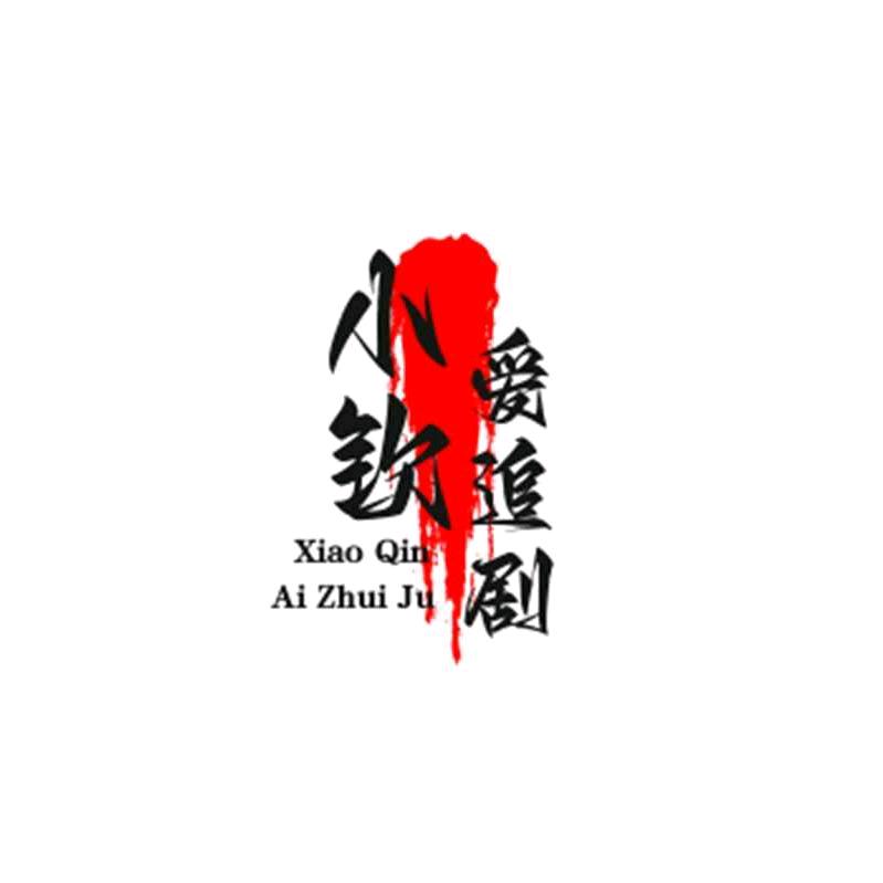 小钦爱追剧