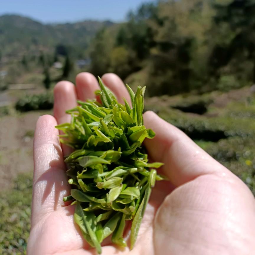 后来:清汤寡水