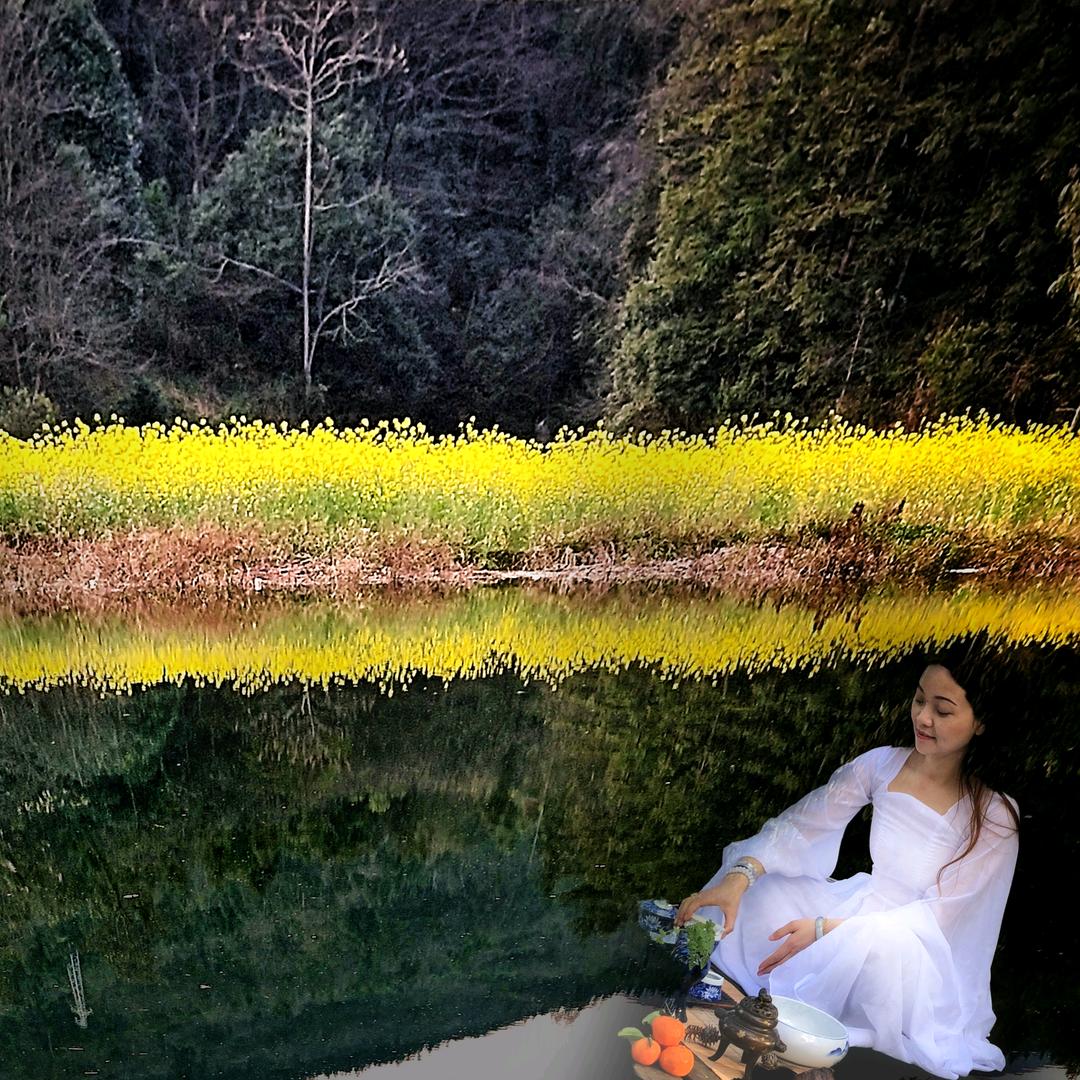 燕子归来