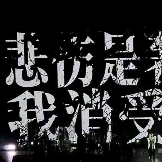 洋洋洋洋