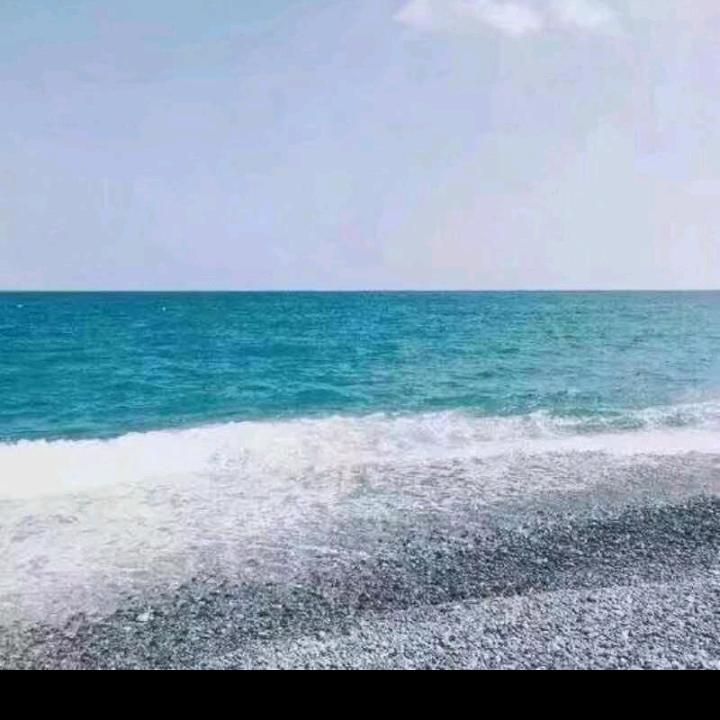 蒋顺其自然