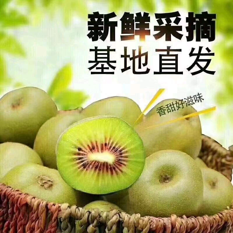 鲜怡鲜果业
