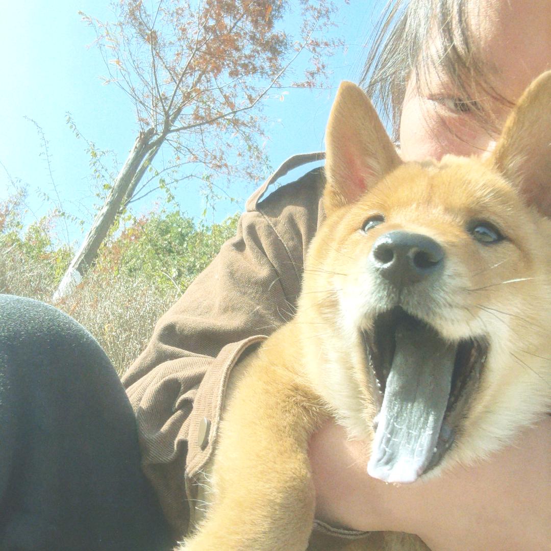 🎄•͈胡了吖•͈🎄