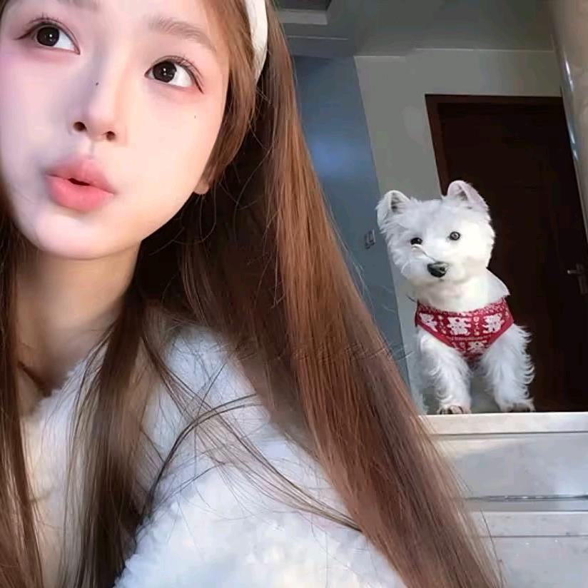 好想减肥