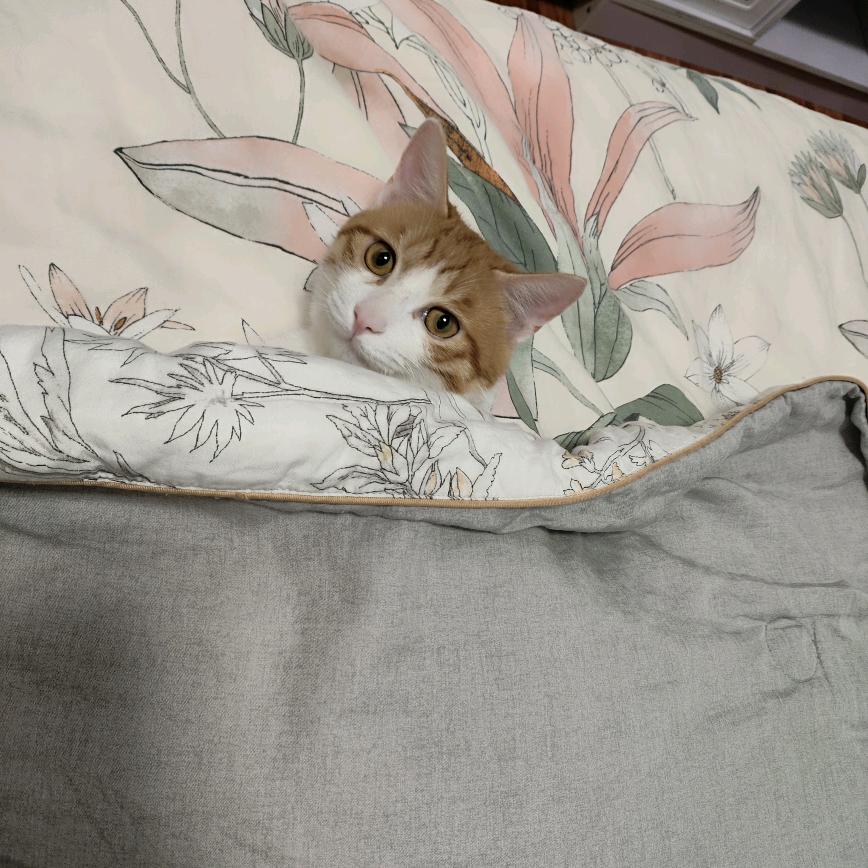 小张小张一点不慌