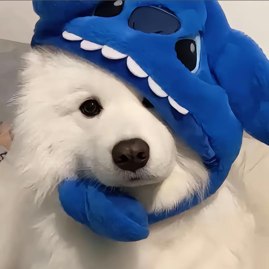 心碎的小狗 ꒦ິ^꒦ິ