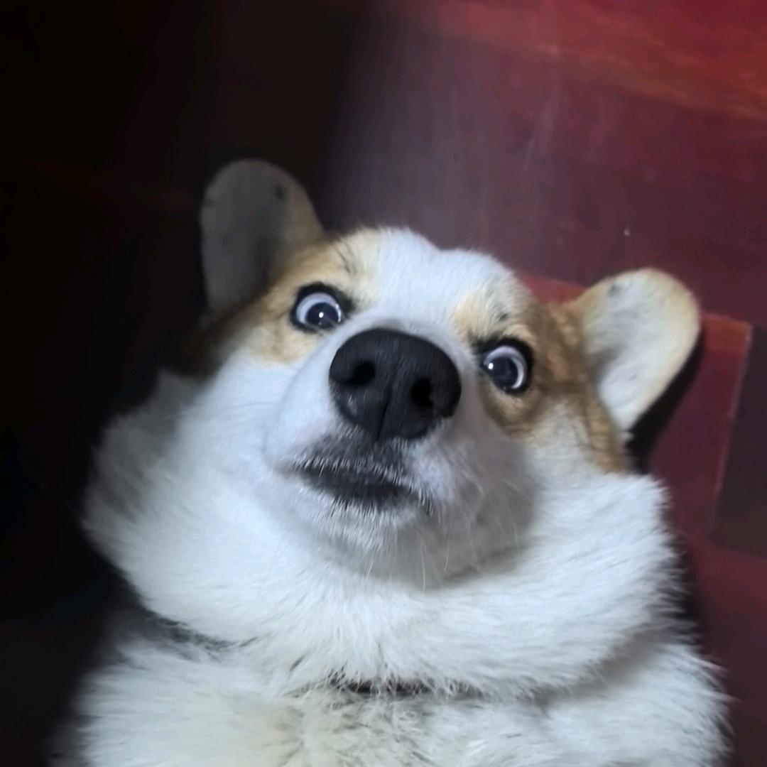 小giao儿