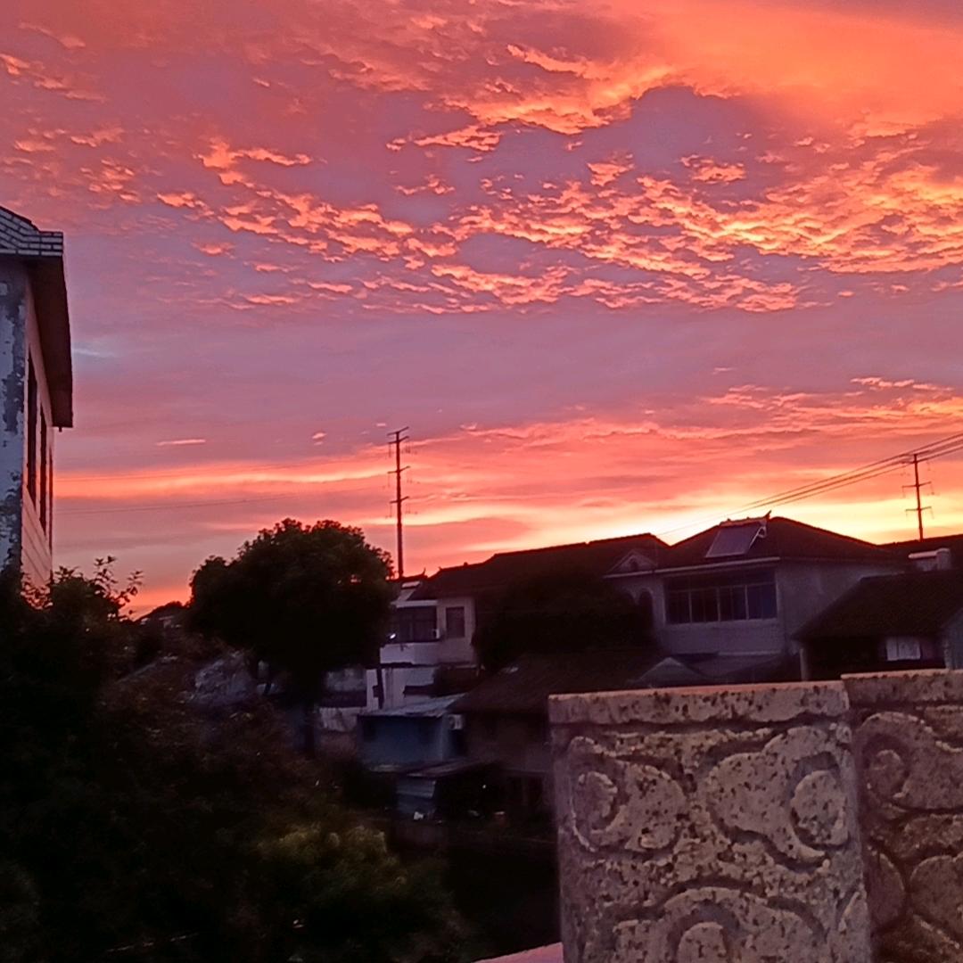 花开富贵，天天开心，好运连连