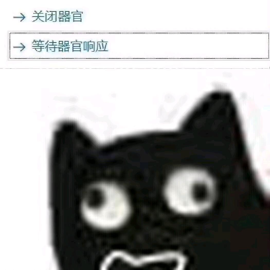 绝情黑猫