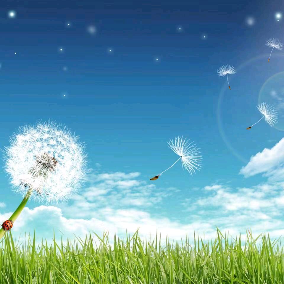 ღ᭄ꦿ守望ღ᭄ꦿ