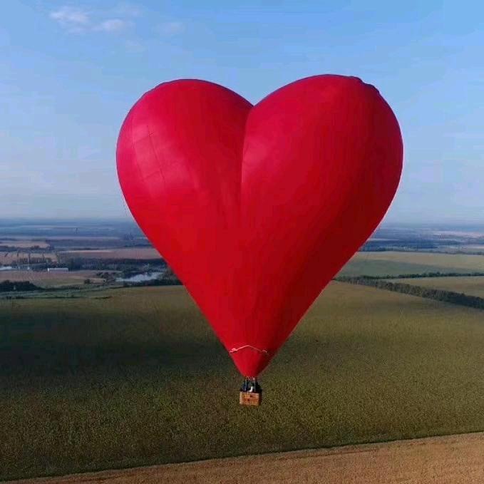战.狼💞 鲁临厨电卫浴家电照明批发💝
