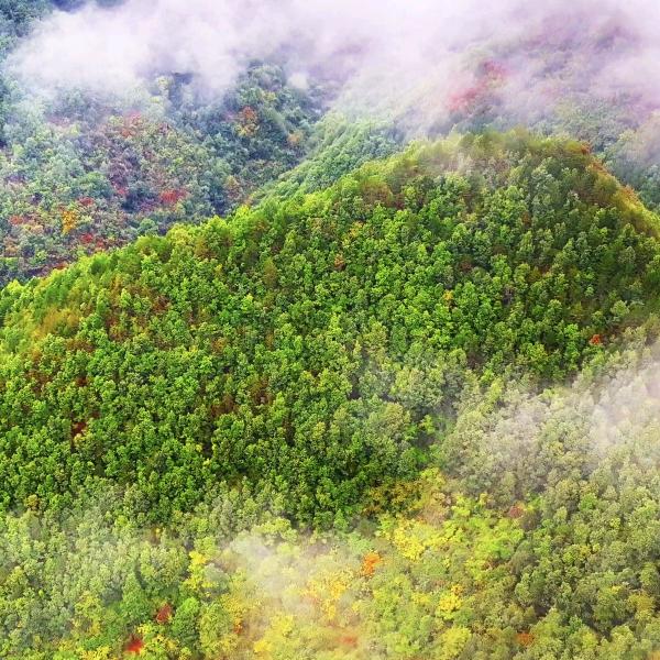 成纪航拍天天拍