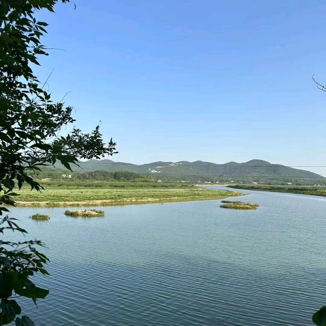 松滋舒阳优雅女装小铺