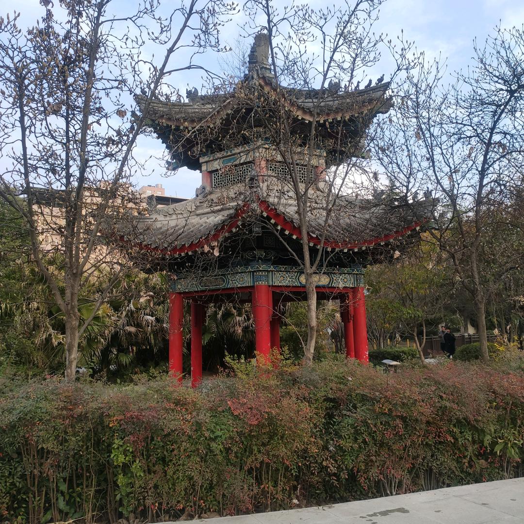 唐老鸭人生交流