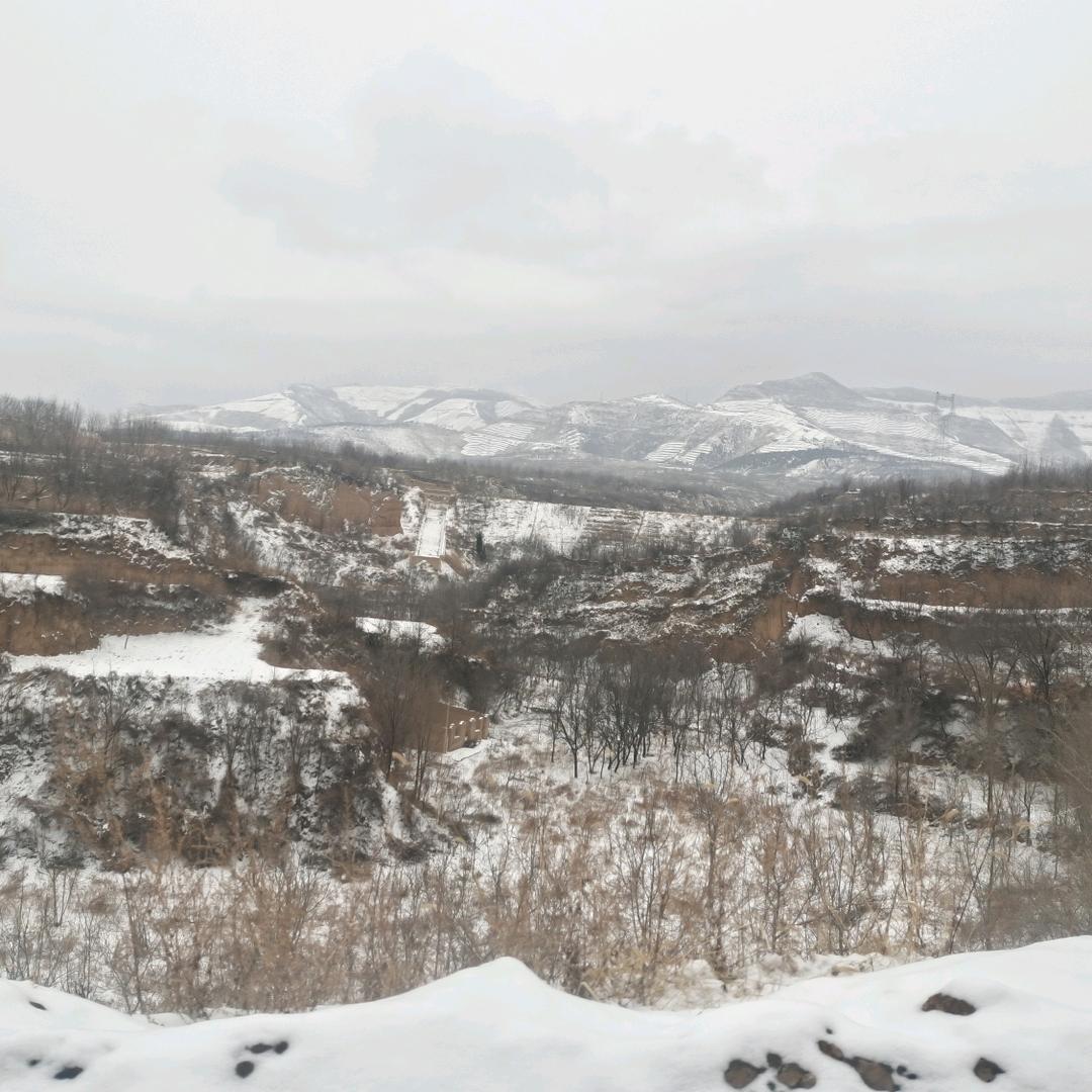 窗帘，沙发套，