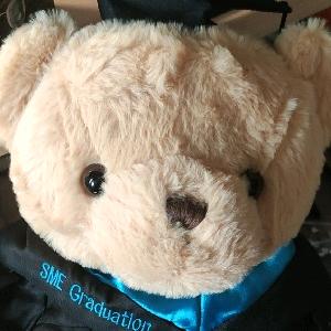 爱冬眠的大白熊