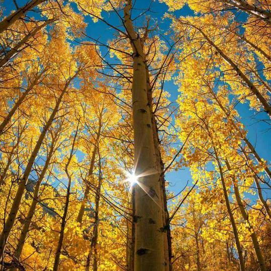 手工活（橱窗看好物）