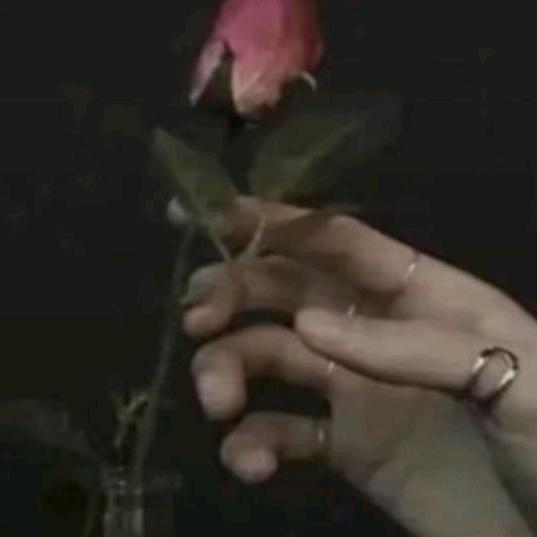 💕: এ᭄浅笑不语꧔ꦿ᭄: 💕: