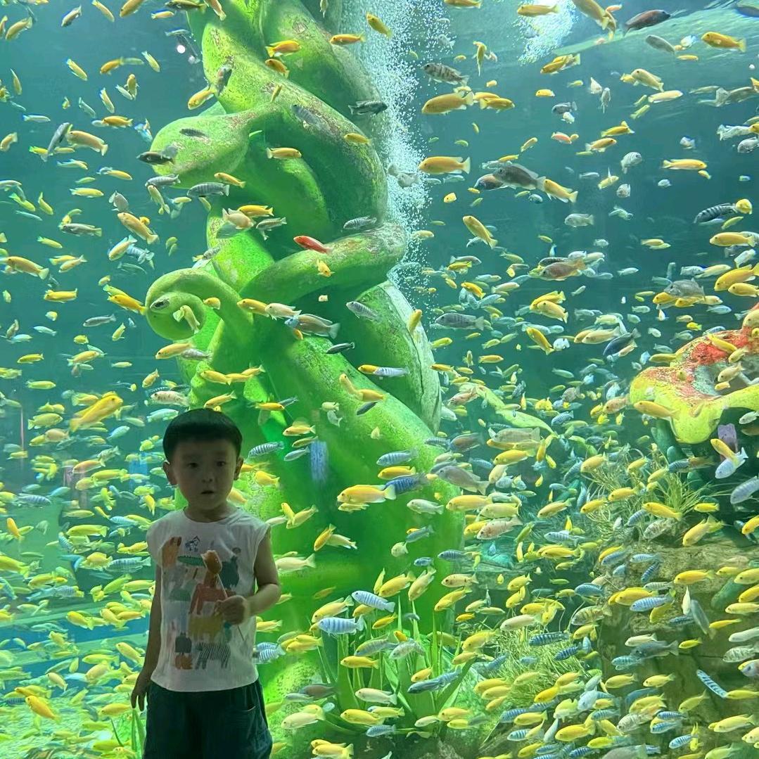 我家有两个宝宝