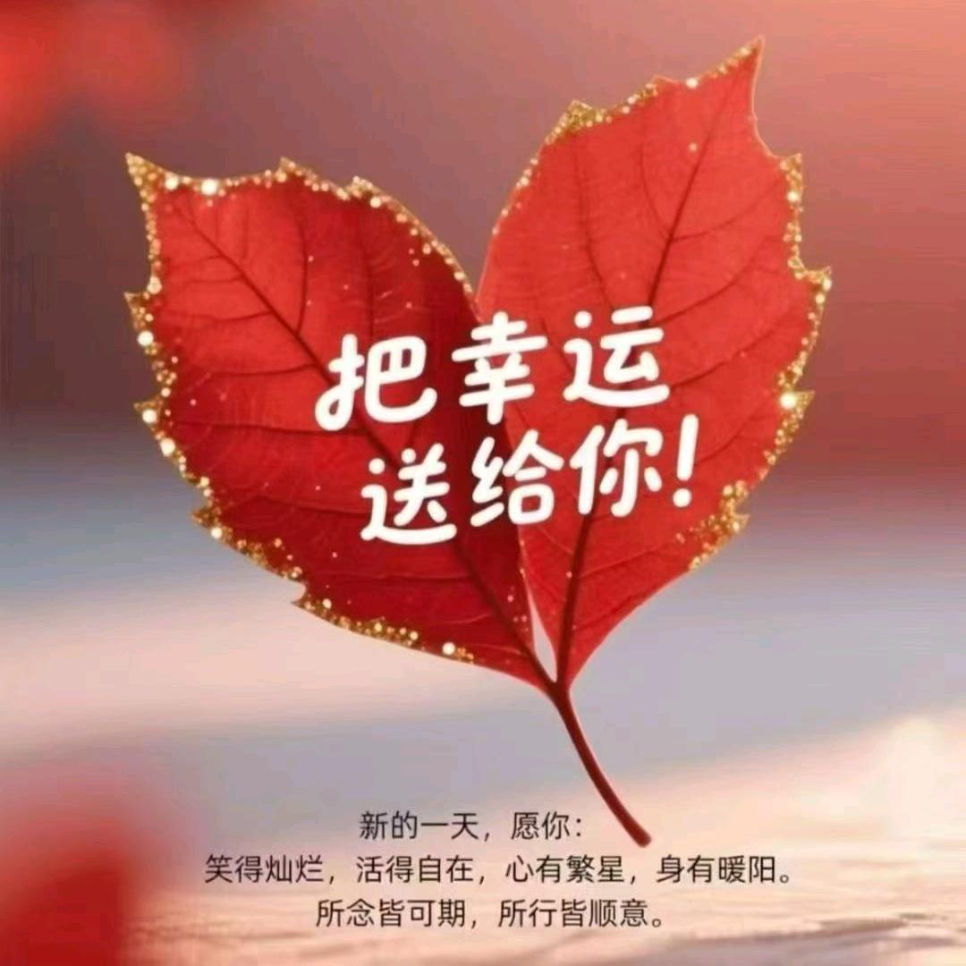 陕西  云南  贵州  湖南种植百合基地