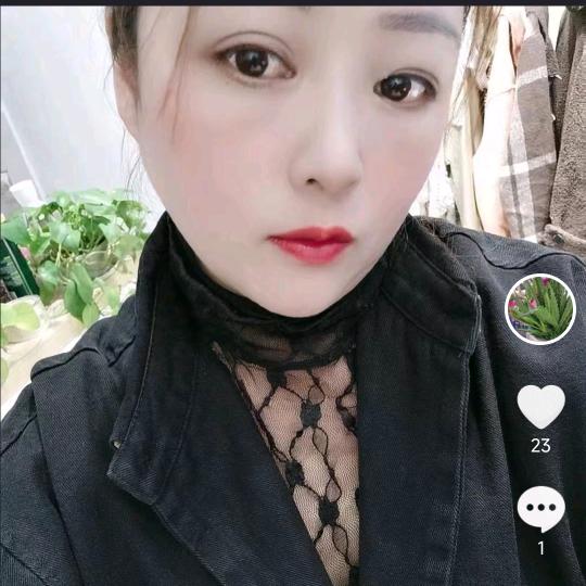 羊洋