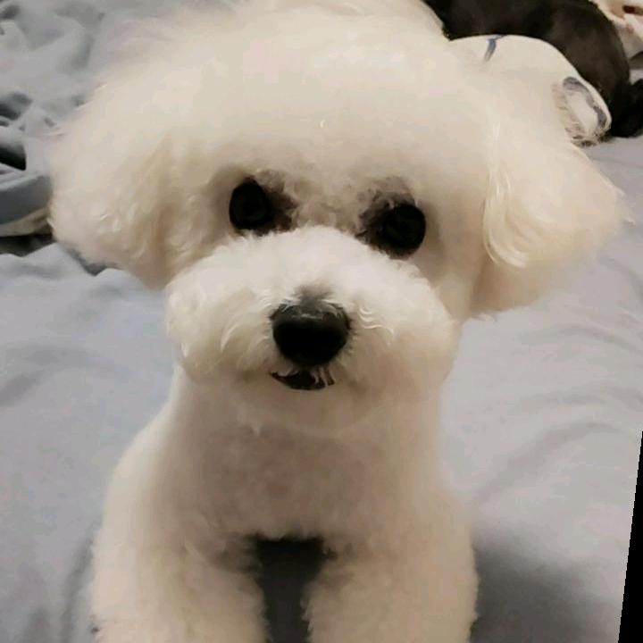 暖光