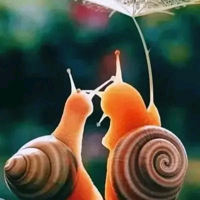 🌈🌈城市蜗牛🐌🌈🌈