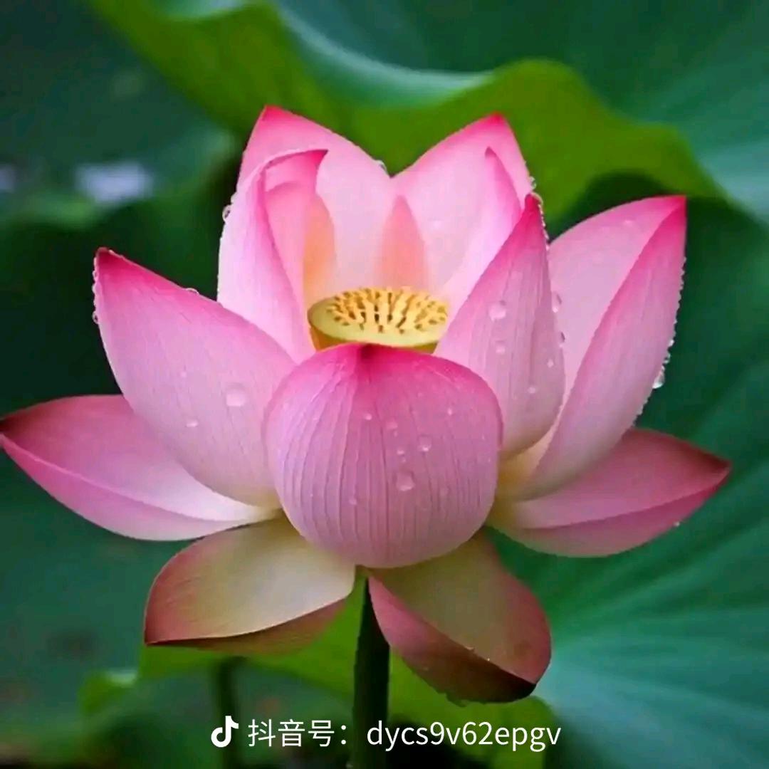 三姐❤️
