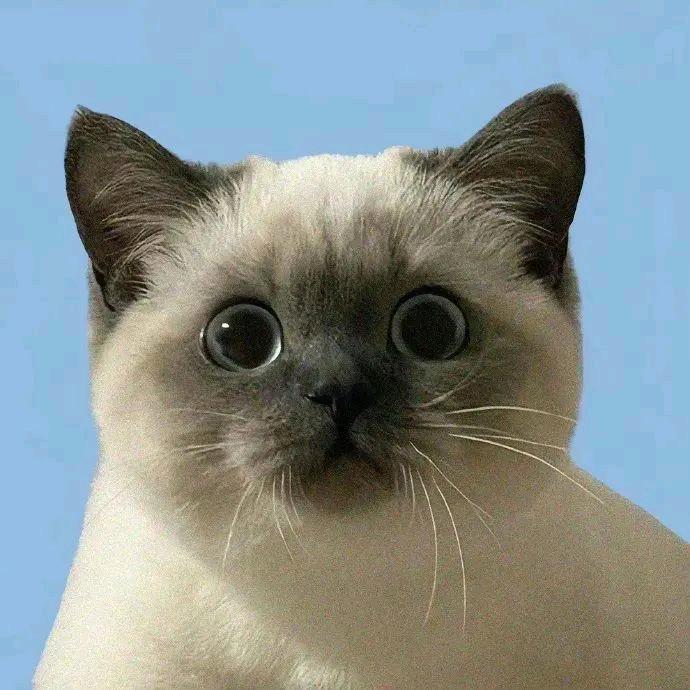 哈哈