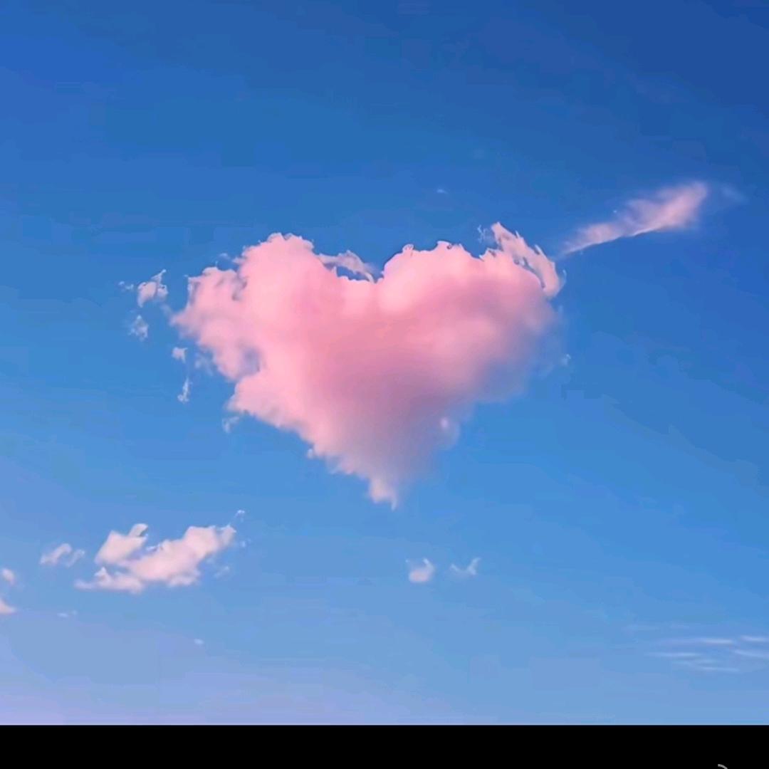 杭州财通鸡鸭批发配送有限公司