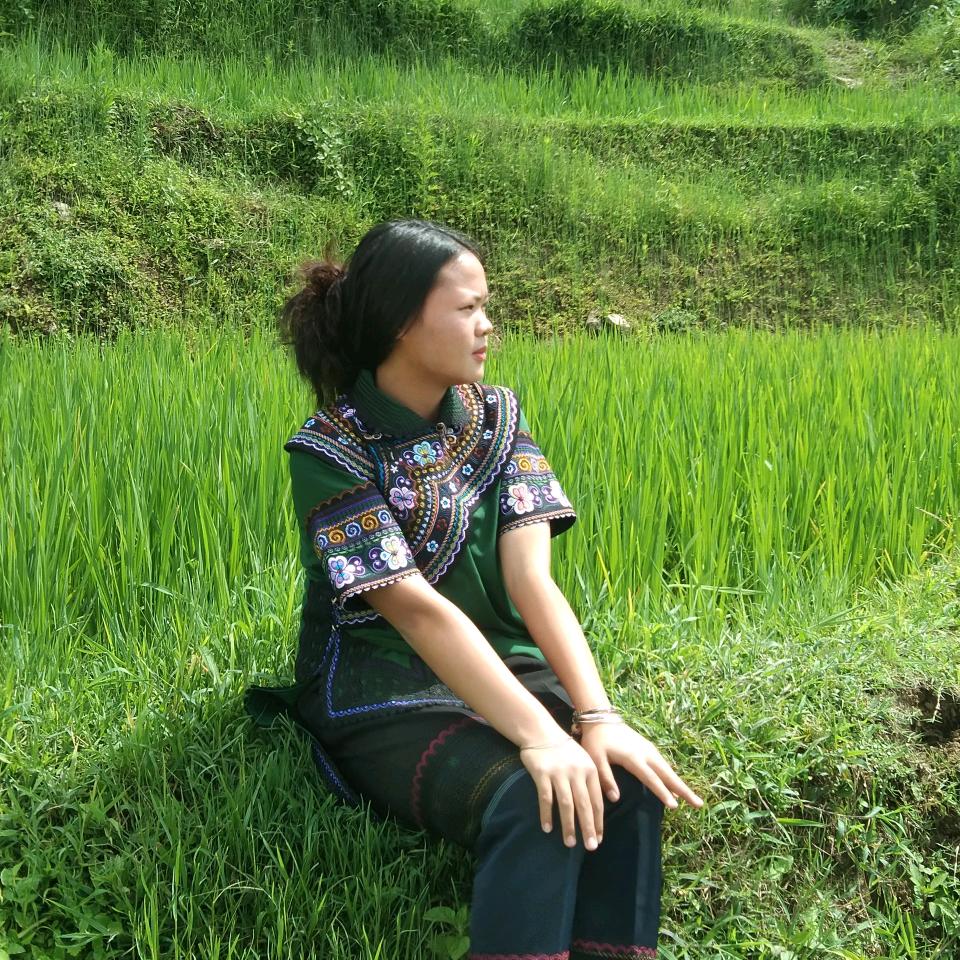 芬芬的朋友圈