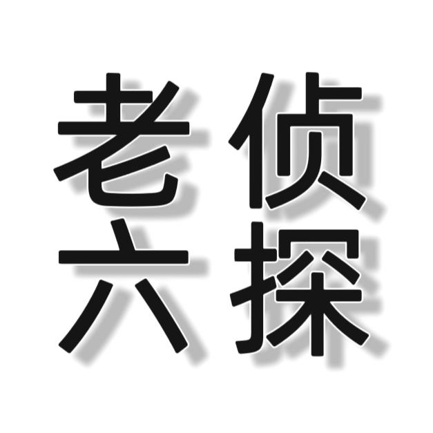 侦探老六