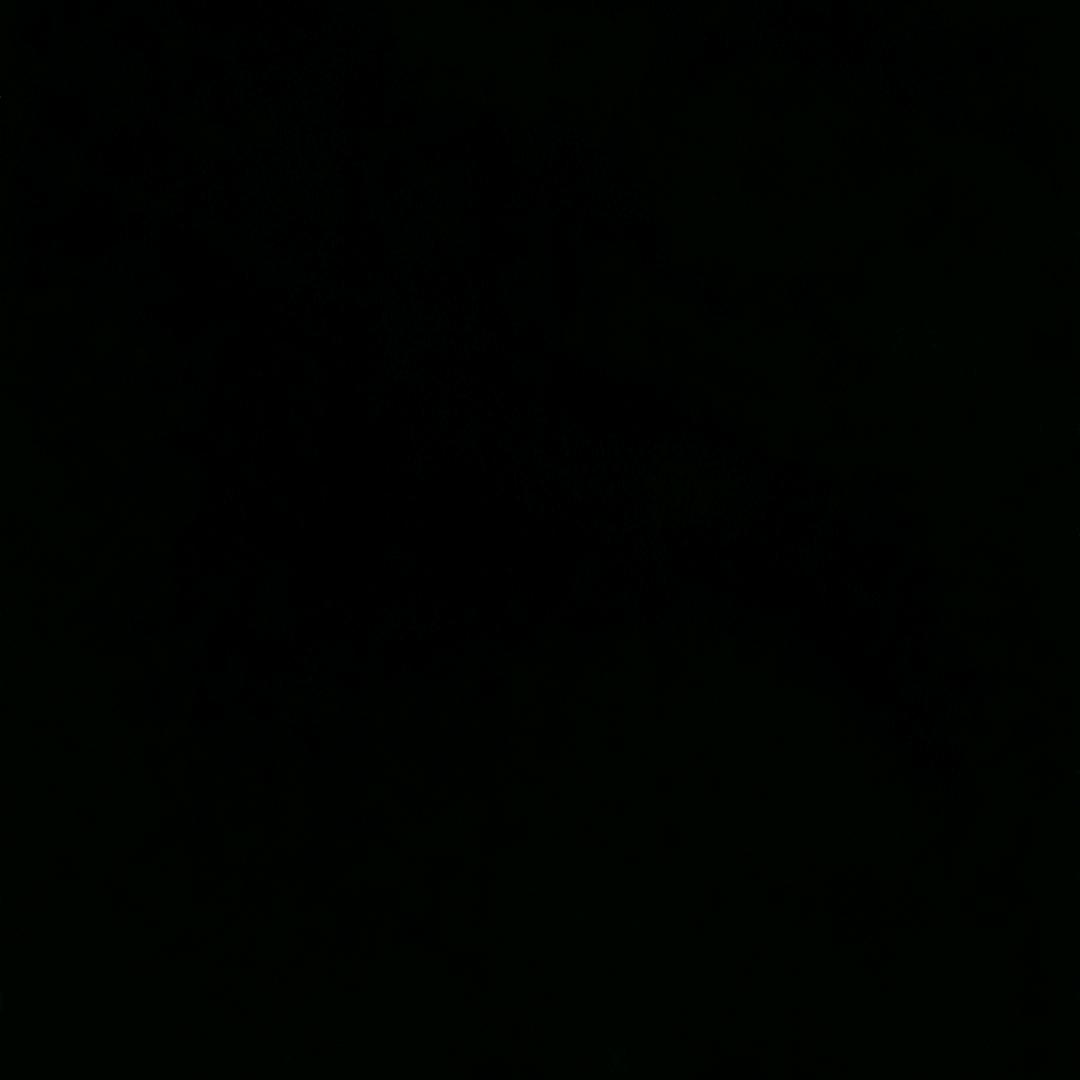 如意