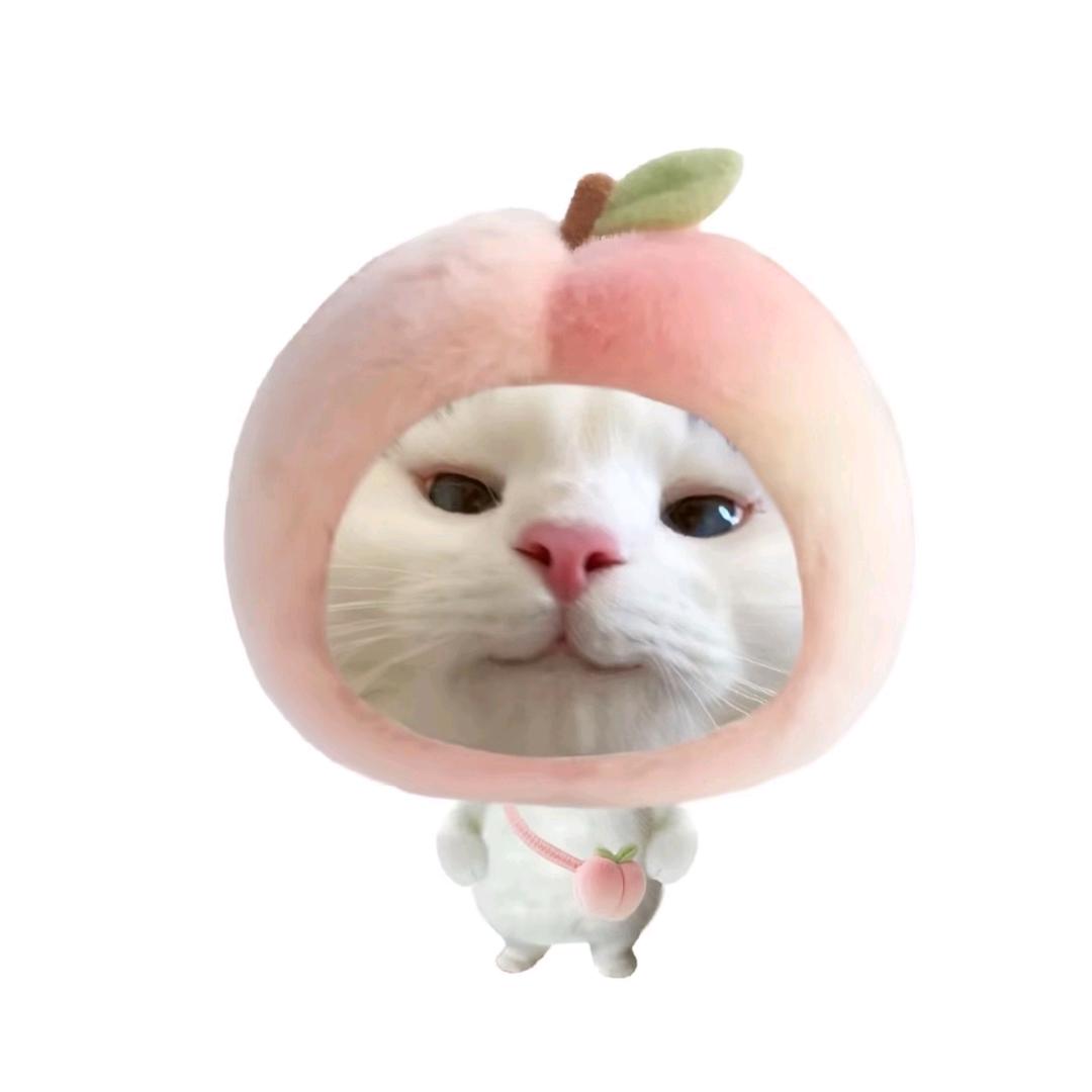 木兆桃子