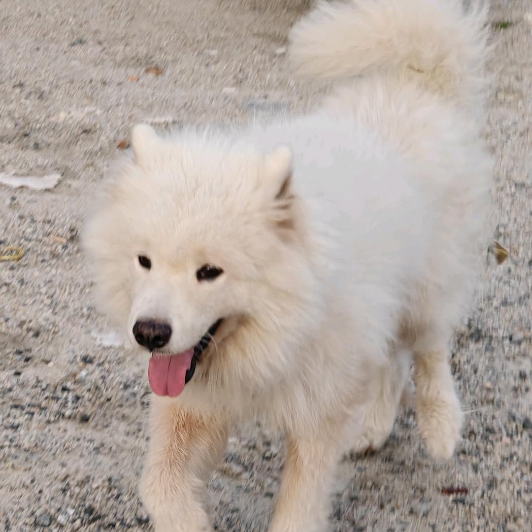 犯困又睡不着