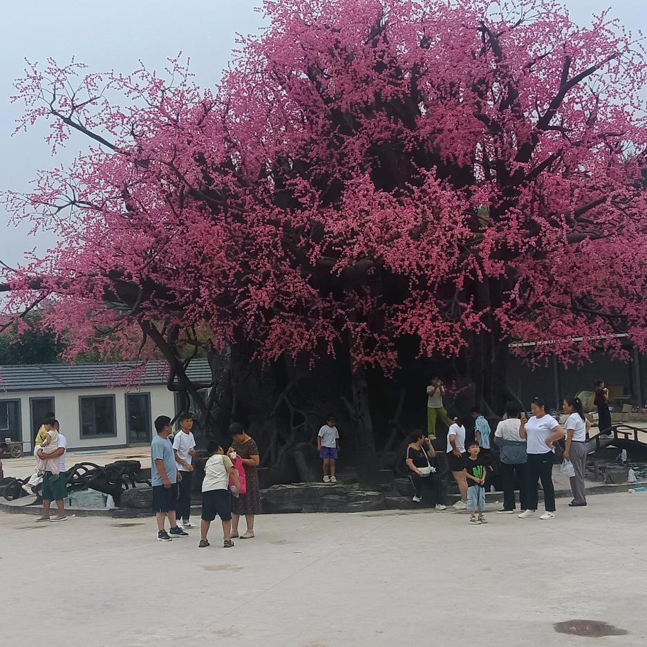 建新哥
