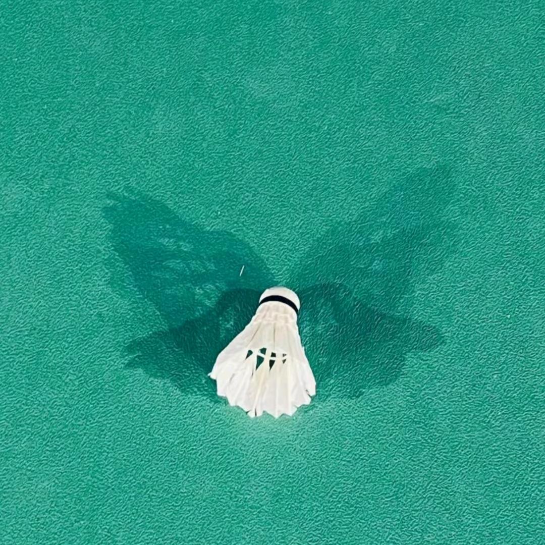 广东文理Kevin（作品进群）