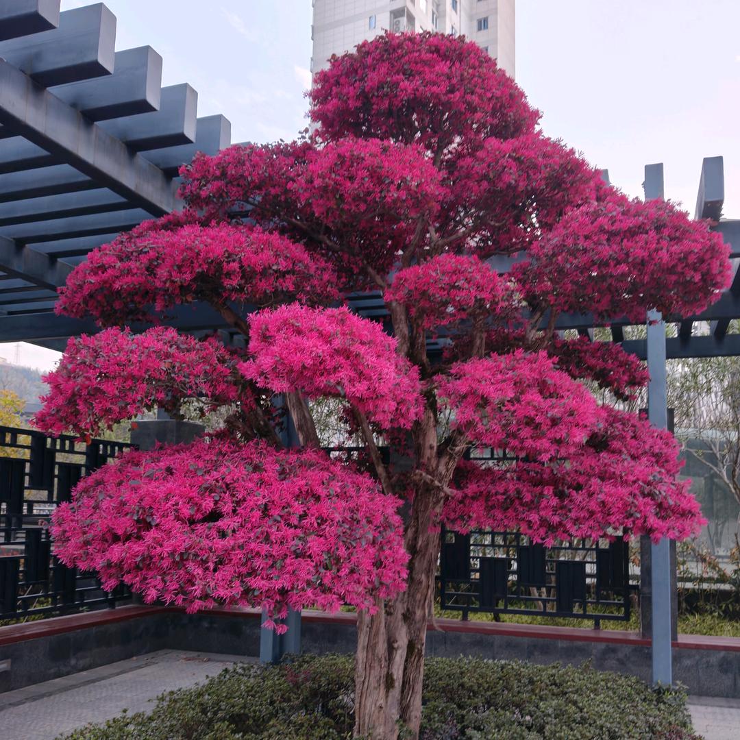 快乐过每一天。