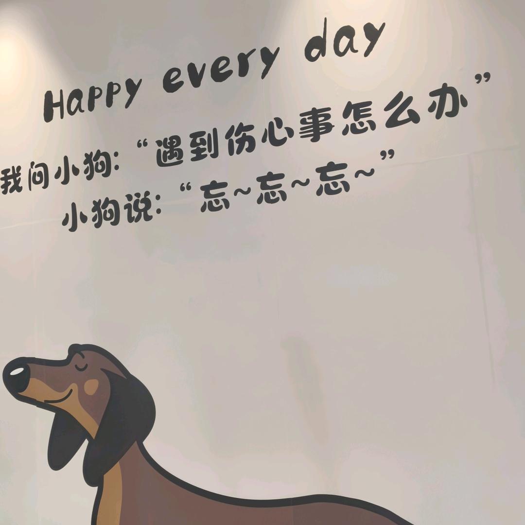 溯梦柒曦