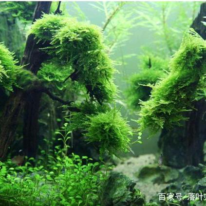 幸福永远