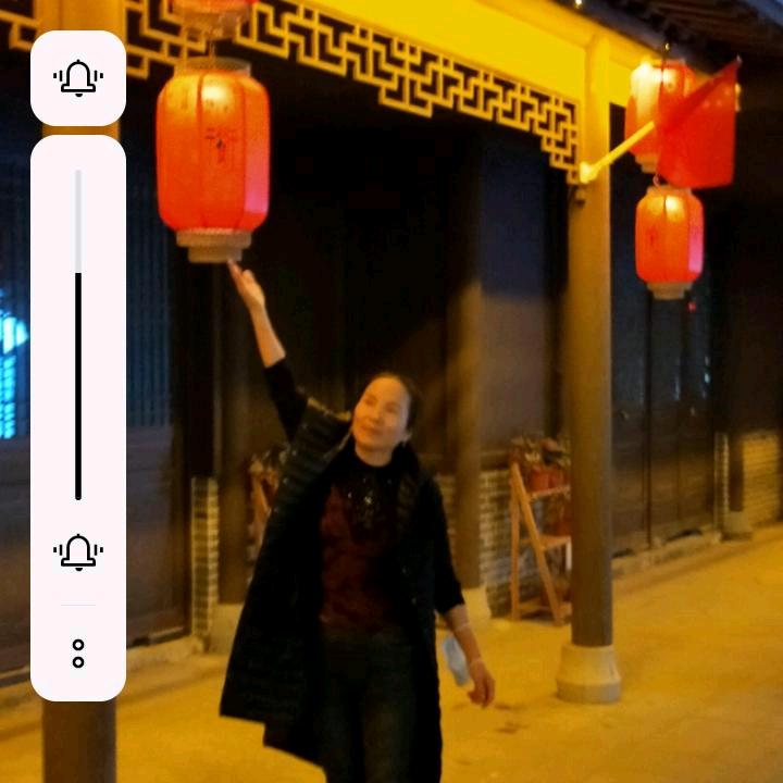 脱了壳的蝉