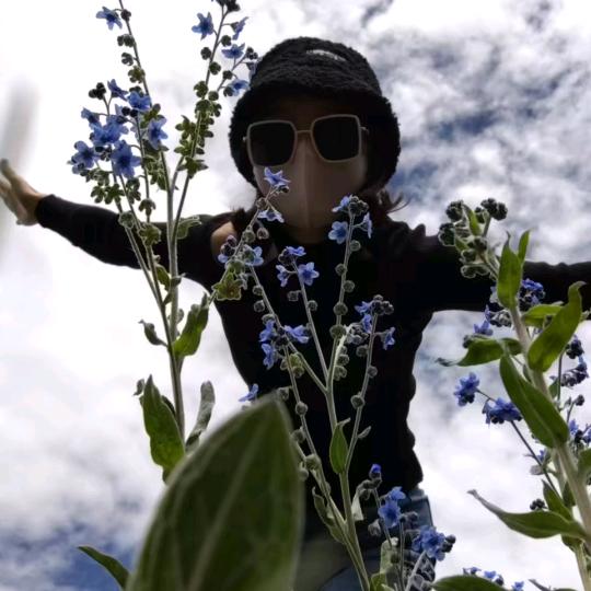 努力做窗帘的女憨憨