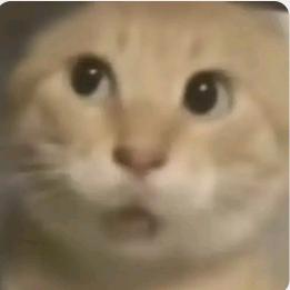 其实网名不用取太长跟我差不多就可以了