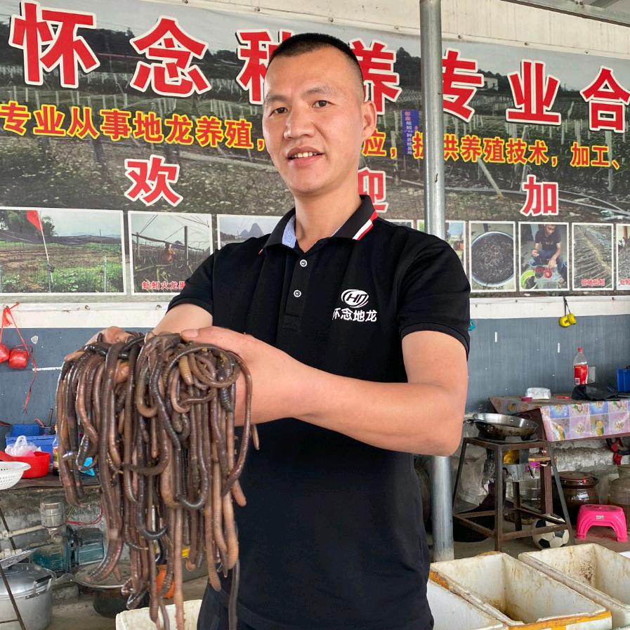 怀念广地龙蚯蚓养殖总部