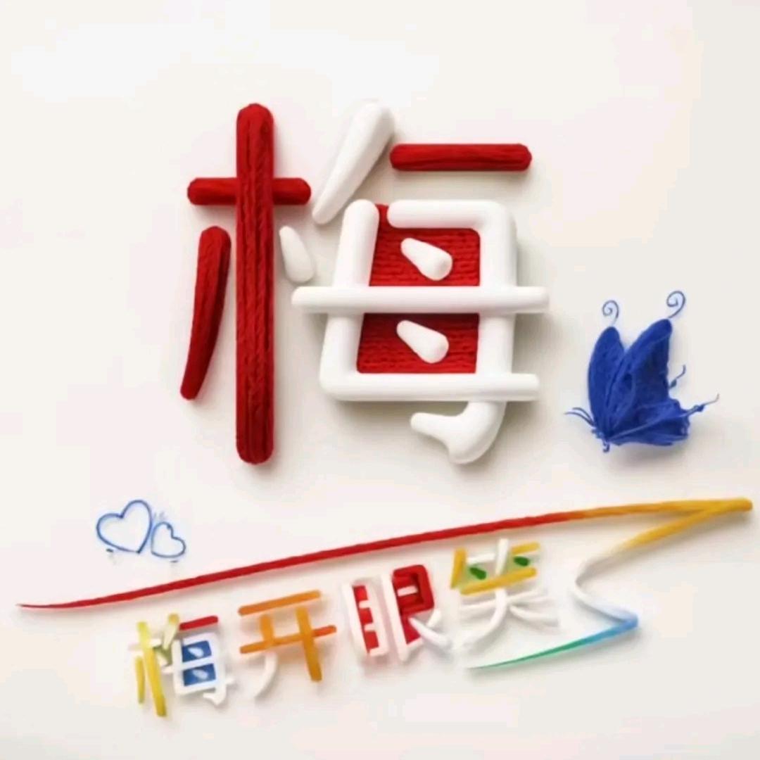 红梅✌️